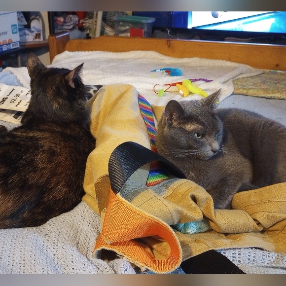 Meet your Posher, Linda - Picture 2 of 4